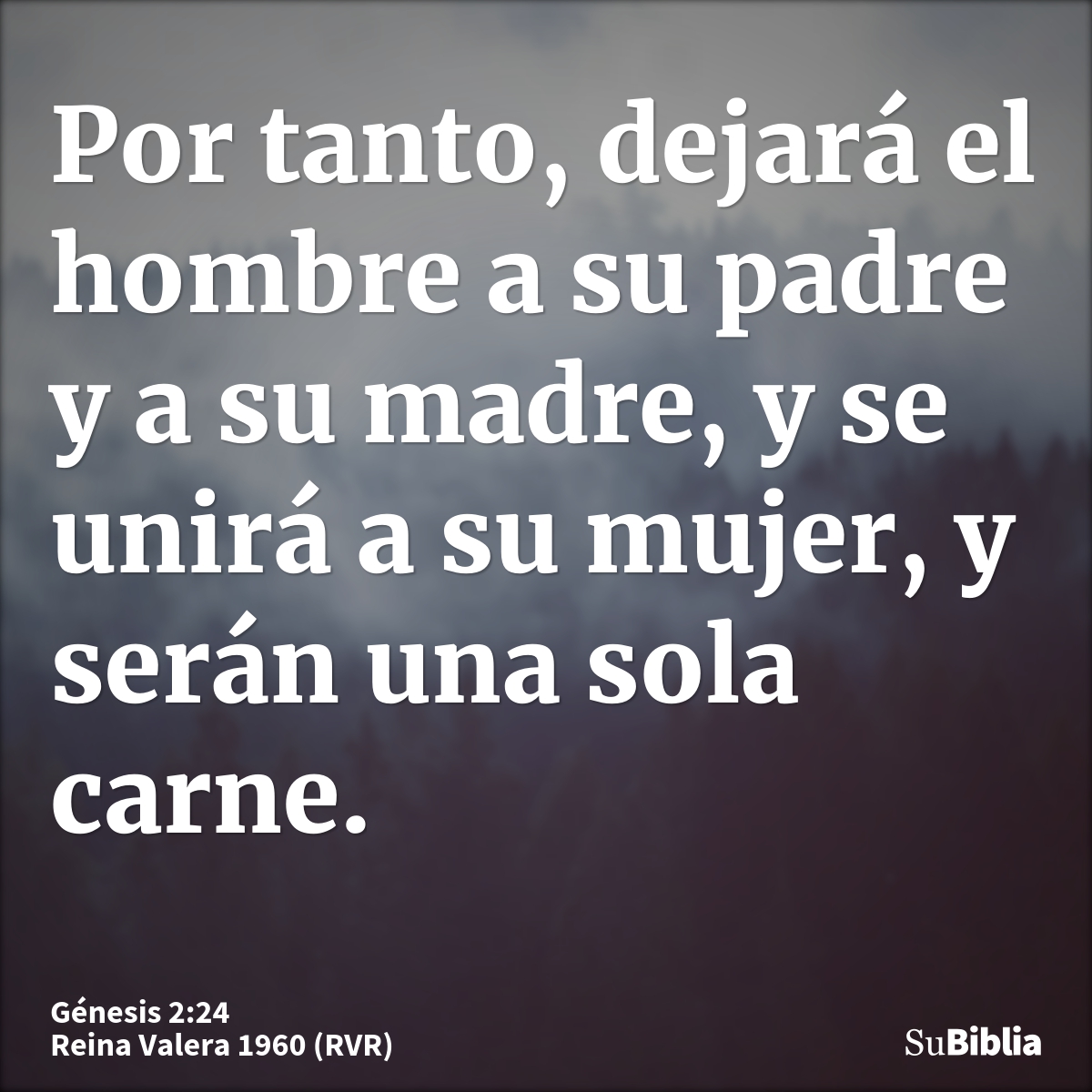 Por tanto, dejará el hombre a su padre y a su madre, y se unirá a su mujer, y serán una sola carne.