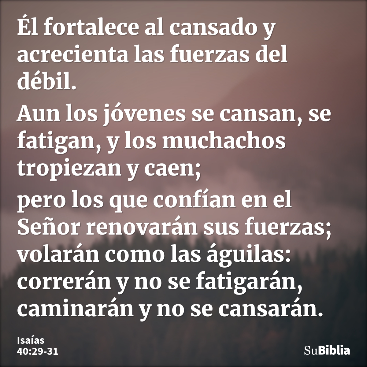 Él fortalece al cansado y acrecienta las fuerzas del débil. Aun los jóvenes se cansan, se fatigan, y los muchachos tropiezan y caen; pero los que confían en el... --- Isaías 40:29