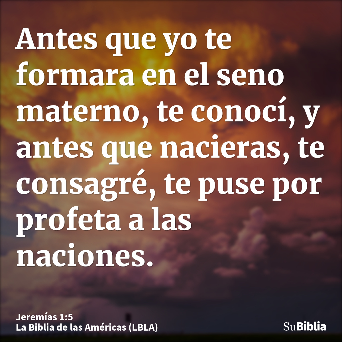 Antes que yo te formara en el seno materno, te conocí, y antes que nacieras, te consagré, te puse por profeta a las naciones.