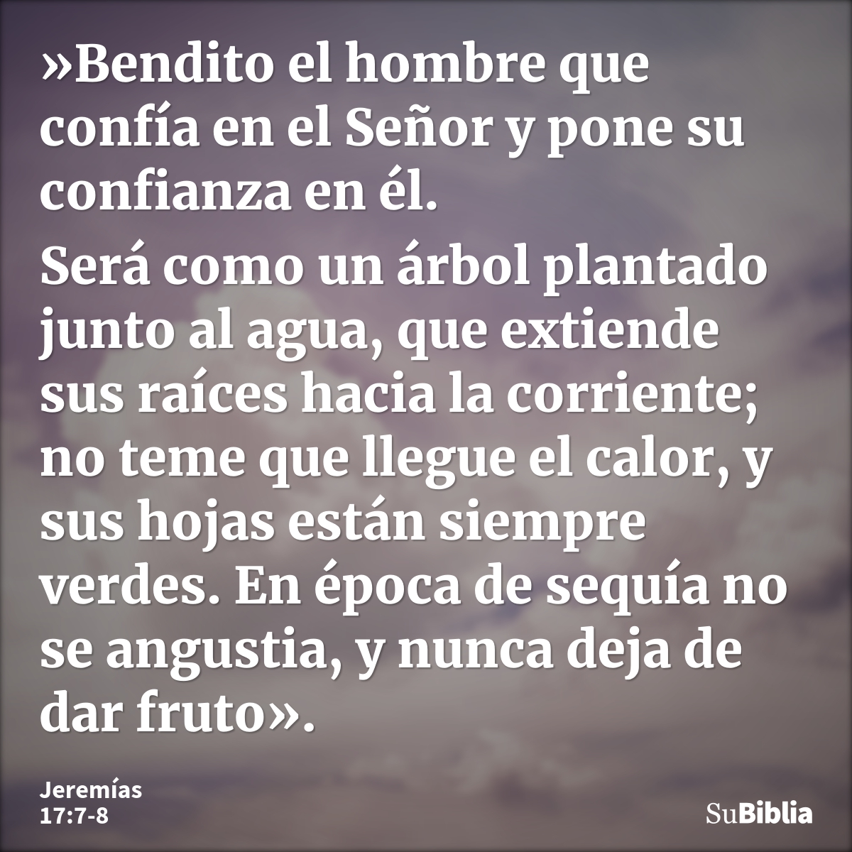 »Bendito el hombre que confía en el Señor y pone su confianza en él. Será como un árbol plantado junto al agua, que extiende sus raíces hacia la corriente; no t... --- Jeremías 17:7