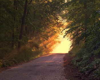 Jesús: el camino, la verdad y la vida (reflexión)