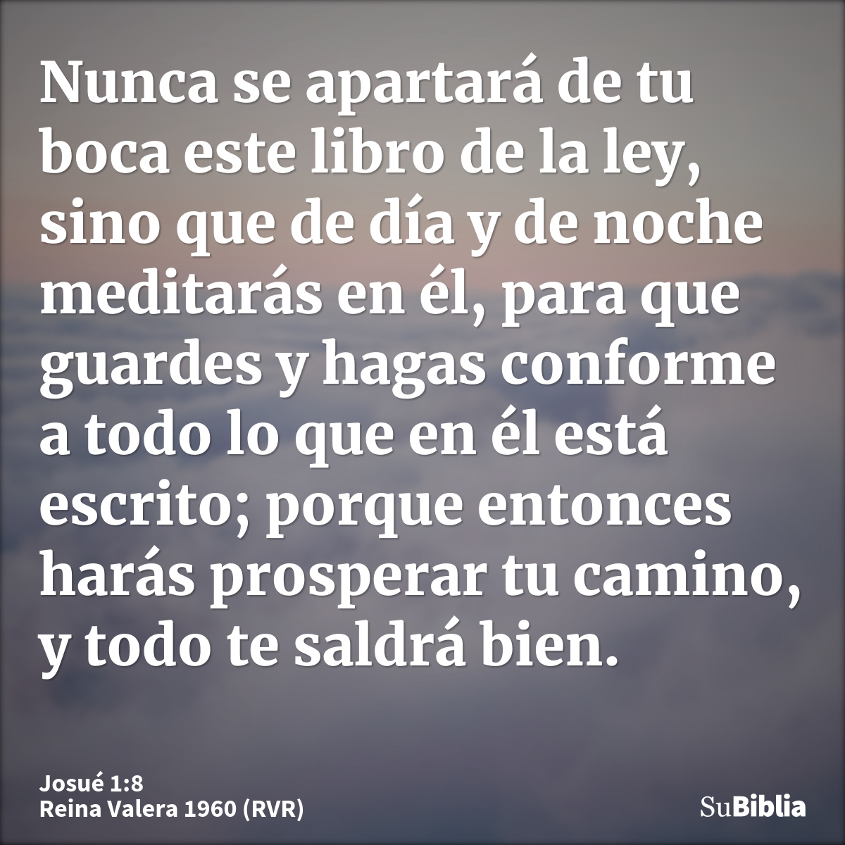 Nunca se apartará de tu boca este libro de la ley, sino que de día y de noche meditarás en él, para que guardes y hagas conforme a todo lo que en él está escrit...