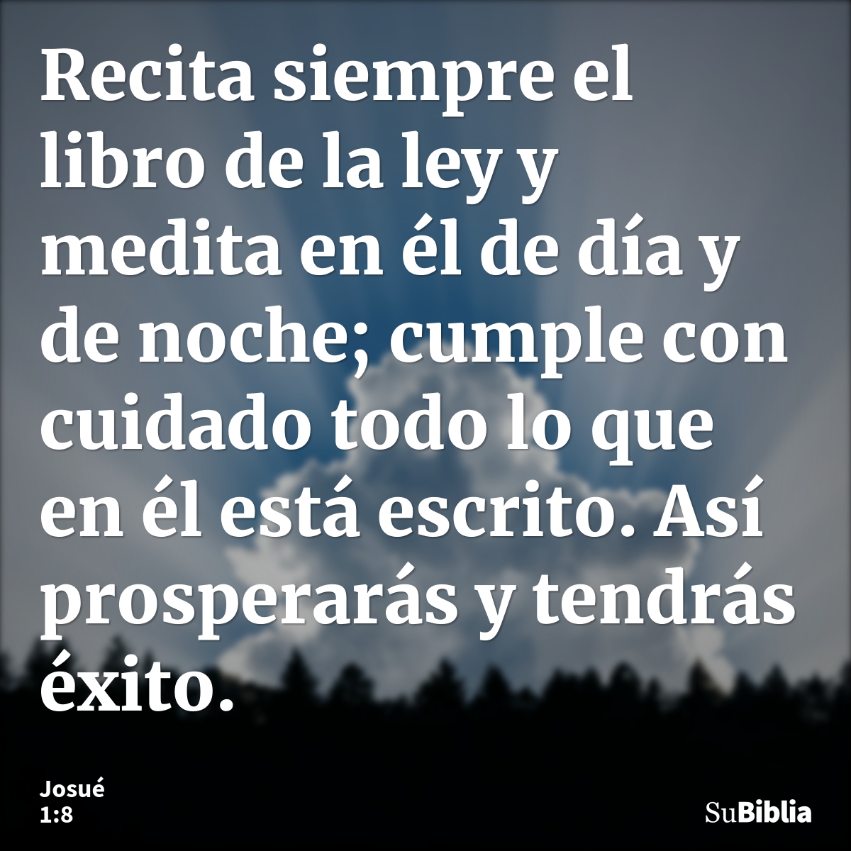 Recita siempre el libro de la ley y medita en él de día y de noche; cumple con cuidado todo lo que en él está escrito. Así prosperarás y tendrás éxito. --- Josué 1:8