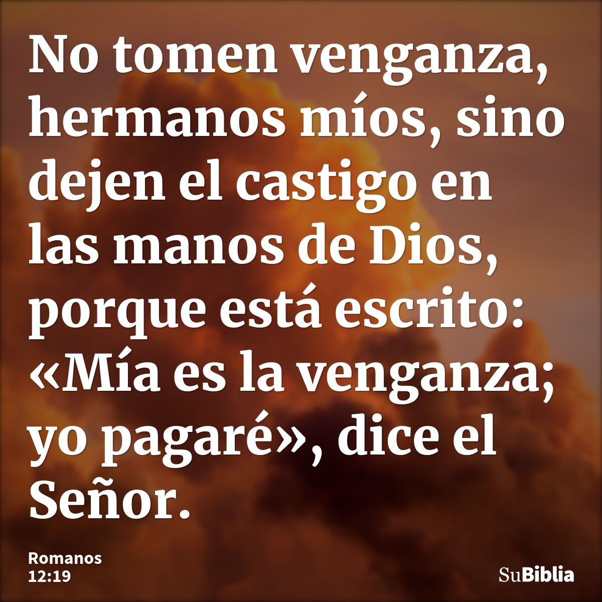 No tomen venganza, hermanos míos, sino dejen el castigo en las manos de Dios, porque está escrito: «Mía es la venganza; yo pagaré», dice el Señor. --- Romanos 12:19