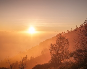 24 salmos con mensajes de buenos días