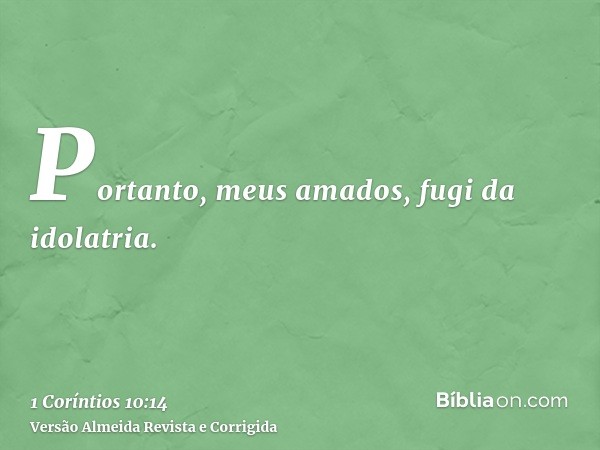 Portanto, meus amados, fugi da idolatria.
