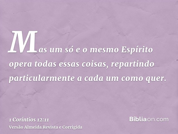 Mas um só e o mesmo Espírito opera todas essas coisas, repartindo particularmente a cada um como quer.