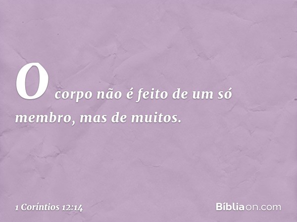 O corpo não é feito de um só membro, mas de muitos. -- 1 Coríntios 12:14