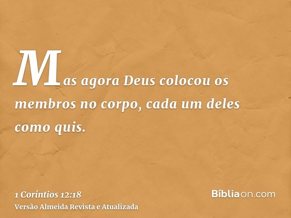 Mas agora Deus colocou os membros no corpo, cada um deles como quis.