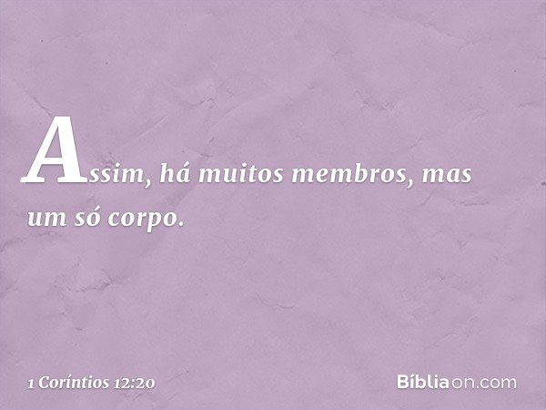 Assim, há muitos membros, mas um só corpo. -- 1 Coríntios 12:20