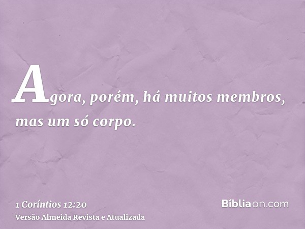 Agora, porém, há muitos membros, mas um só corpo.