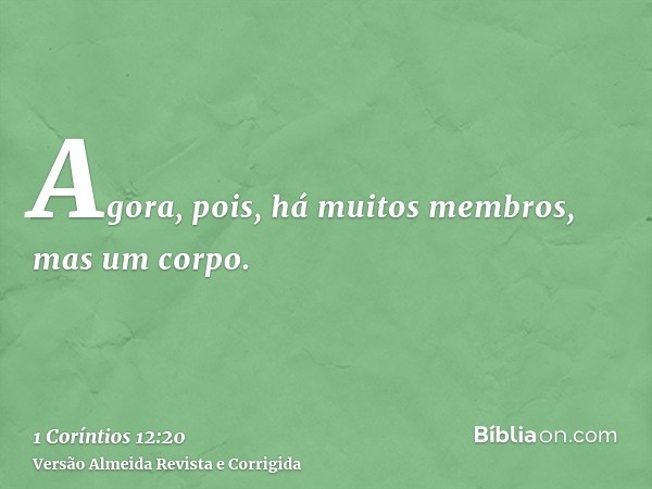 Agora, pois, há muitos membros, mas um corpo.