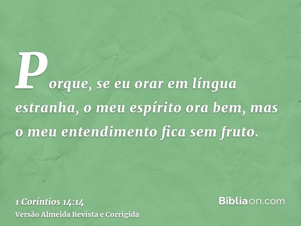 Porque, se eu orar em língua estranha, o meu espírito ora bem, mas o meu entendimento fica sem fruto.
