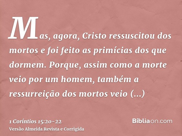 Mas, agora, Cristo ressuscitou dos mortos e foi feito as primícias dos que dormem.Porque, assim como a morte veio por um homem, também a ressurreição dos mortos