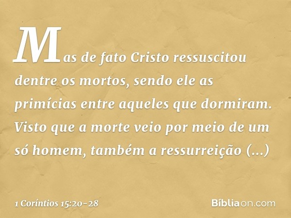 Mas de fato Cristo ressuscitou dentre os mortos, sendo ele as primícias entre aqueles que dormiram. Visto que a morte veio por meio de um só homem, também a res