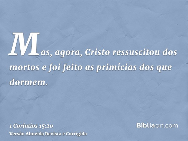 Mas, agora, Cristo ressuscitou dos mortos e foi feito as primícias dos que dormem.