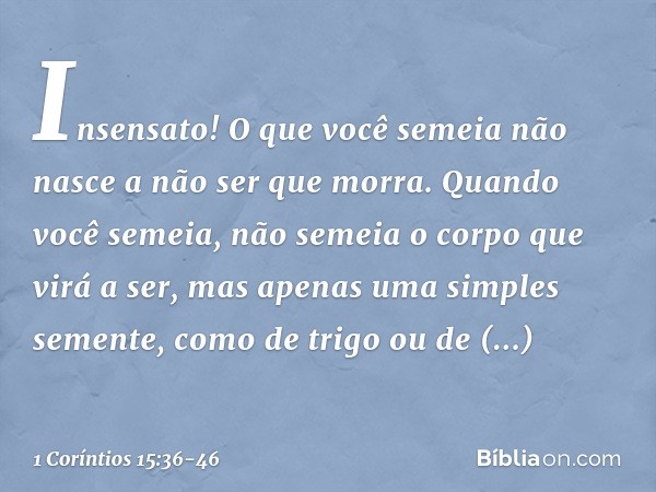 Insensato! O que você semeia não nasce a não ser que morra. Quando você semeia, não semeia o corpo que virá a ser, mas apenas uma simples semente, como de trigo