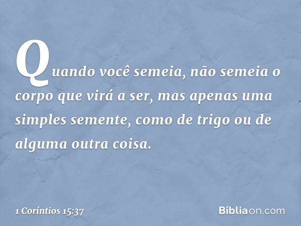 Quando você semeia, não semeia o corpo que virá a ser, mas apenas uma simples semente, como de trigo ou de alguma outra coisa. -- 1 Coríntios 15:37