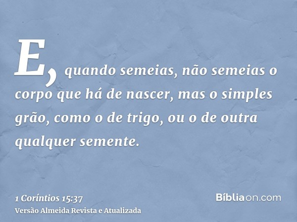 E, quando semeias, não semeias o corpo que há de nascer, mas o simples grão, como o de trigo, ou o de outra qualquer semente.