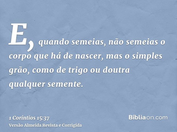 E, quando semeias, não semeias o corpo que há de nascer, mas o simples grão, como de trigo ou doutra qualquer semente.