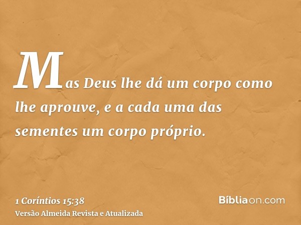 Mas Deus lhe dá um corpo como lhe aprouve, e a cada uma das sementes um corpo próprio.