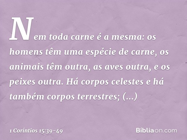 Nem toda carne é a mesma: os homens têm uma espécie de carne, os animais têm outra, as aves outra, e os peixes outra. Há corpos celestes e há também corpos terr