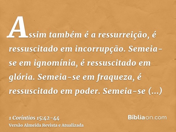 Assim também é a ressurreição, é ressuscitado em incorrupção.Semeia-se em ignomínia, é ressuscitado em glória. Semeia-se em fraqueza, é ressuscitado em poder.Se