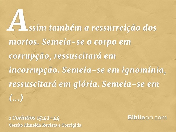 Assim também a ressurreição dos mortos. Semeia-se o corpo em corrupção, ressuscitará em incorrupção.Semeia-se em ignomínia, ressuscitará em glória. Semeia-se em