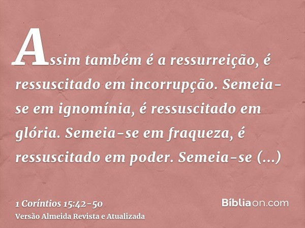 Assim também é a ressurreição, é ressuscitado em incorrupção.Semeia-se em ignomínia, é ressuscitado em glória. Semeia-se em fraqueza, é ressuscitado em poder.Se