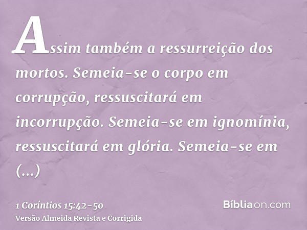 Assim também a ressurreição dos mortos. Semeia-se o corpo em corrupção, ressuscitará em incorrupção.Semeia-se em ignomínia, ressuscitará em glória. Semeia-se em