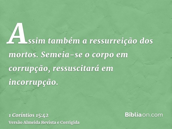 Assim também a ressurreição dos mortos. Semeia-se o corpo em corrupção, ressuscitará em incorrupção.