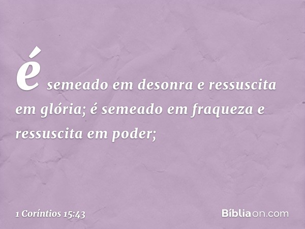 é semeado em desonra e ressuscita em glória; é semeado em fraqueza e ressuscita em poder; -- 1 Coríntios 15:43