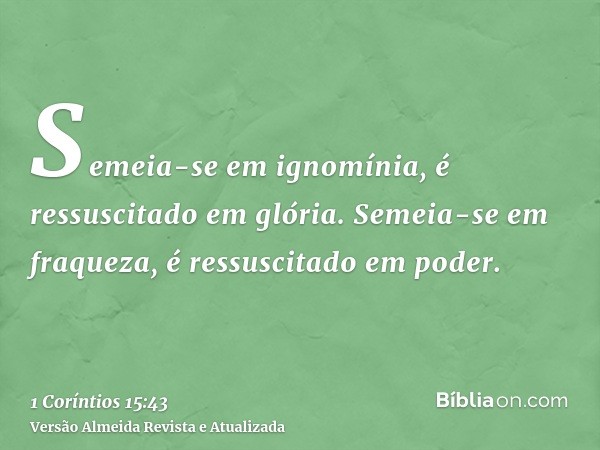 Semeia-se em ignomínia, é ressuscitado em glória. Semeia-se em fraqueza, é ressuscitado em poder.