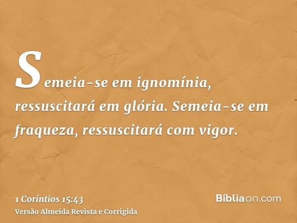 Semeia-se em ignomínia, ressuscitará em glória. Semeia-se em fraqueza, ressuscitará com vigor.