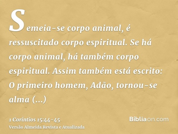 Semeia-se corpo animal, é ressuscitado corpo espiritual. Se há corpo animal, há também corpo espiritual.Assim também está escrito: O primeiro homem, Adão, torno