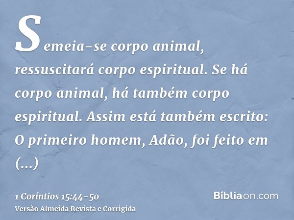 Semeia-se corpo animal, ressuscitará corpo espiritual. Se há corpo animal, há também corpo espiritual.Assim está também escrito: O primeiro homem, Adão, foi fei