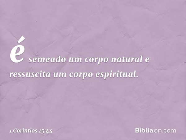 é semeado um corpo natural e ressuscita um corpo espiritual.
Se há corpo natural, há também corpo espiritual. -- 1 Coríntios 15:44