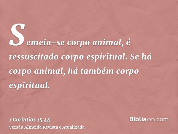 Semeia-se corpo animal, é ressuscitado corpo espiritual. Se há corpo animal, há também corpo espiritual.
