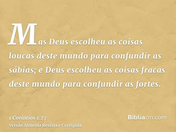 Mas Deus escolheu as coisas loucas deste mundo para confundir as sábias; e Deus escolheu as coisas fracas deste mundo para confundir as fortes.