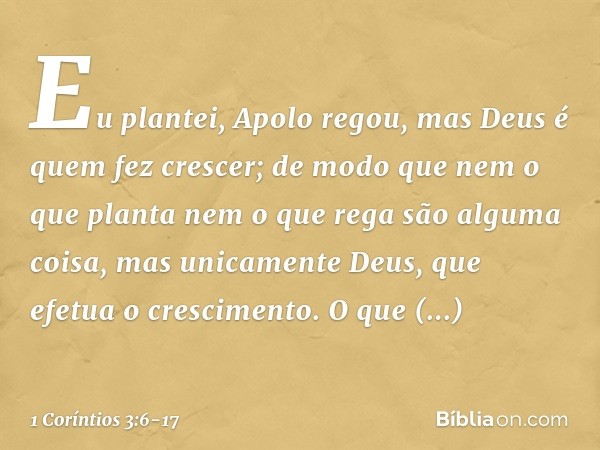 Eu plantei, Apolo regou, mas Deus é quem fez crescer; de modo que nem o que planta nem o que rega são alguma coisa, mas unicamente Deus, que efetua o cresciment