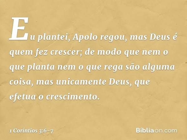 Eu plantei, Apolo regou, mas Deus é quem fez crescer; de modo que nem o que planta nem o que rega são alguma coisa, mas unicamente Deus, que efetua o cresciment