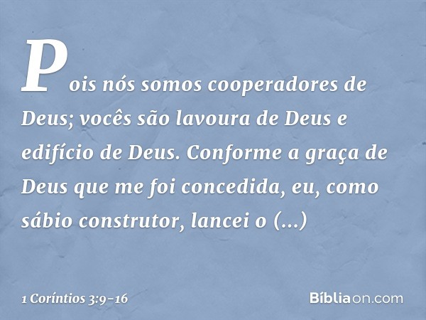 Pois nós somos cooperadores de Deus; vocês são lavoura de Deus e edifício de Deus. Conforme a graça de Deus que me foi concedida, eu, como sábio construtor, lan