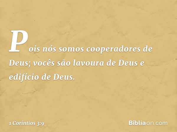 Pois nós somos cooperadores de Deus; vocês são lavoura de Deus e edifício de Deus. -- 1 Coríntios 3:9