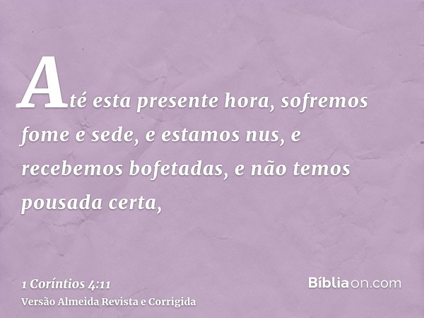 Até esta presente hora, sofremos fome e sede, e estamos nus, e recebemos bofetadas, e não temos pousada certa,