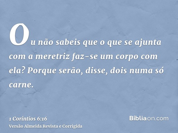 Ou não sabeis que o que se ajunta com a meretriz faz-se um corpo com ela? Porque serão, disse, dois numa só carne.