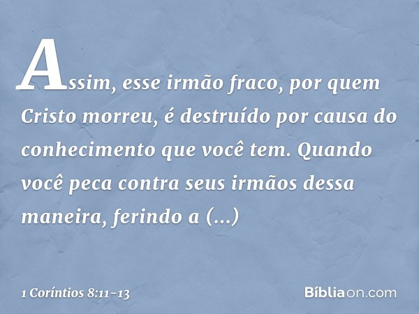 Assim, esse irmão fraco, por quem Cristo morreu, é destruído por causa do conhecimento que você tem. Quando você peca contra seus irmãos dessa maneira, ferindo 