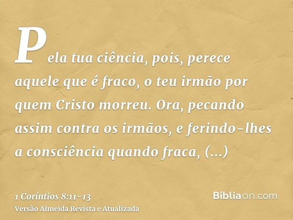 Pela tua ciência, pois, perece aquele que é fraco, o teu irmão por quem Cristo morreu.Ora, pecando assim contra os irmãos, e ferindo-lhes a consciência quando f