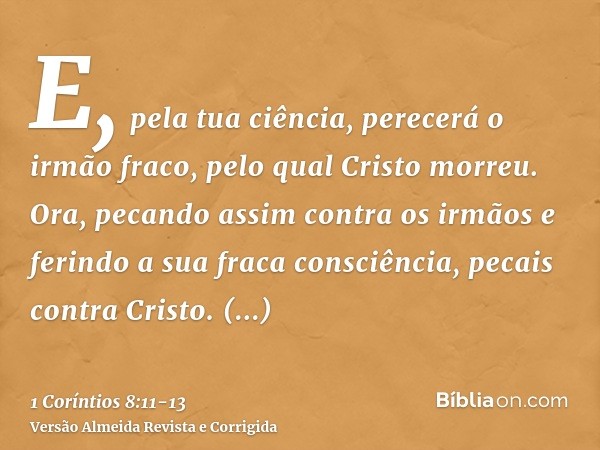 E, pela tua ciência, perecerá o irmão fraco, pelo qual Cristo morreu.Ora, pecando assim contra os irmãos e ferindo a sua fraca consciência, pecais contra Cristo