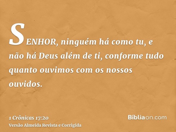 SENHOR, ninguém há como tu, e não há Deus além de ti, conforme tudo quanto ouvimos com os nossos ouvidos.
