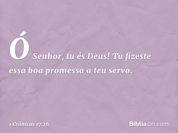 Ó Senhor, tu és Deus! Tu fizeste essa boa promessa a teu servo. -- 1 Crônicas 17:26